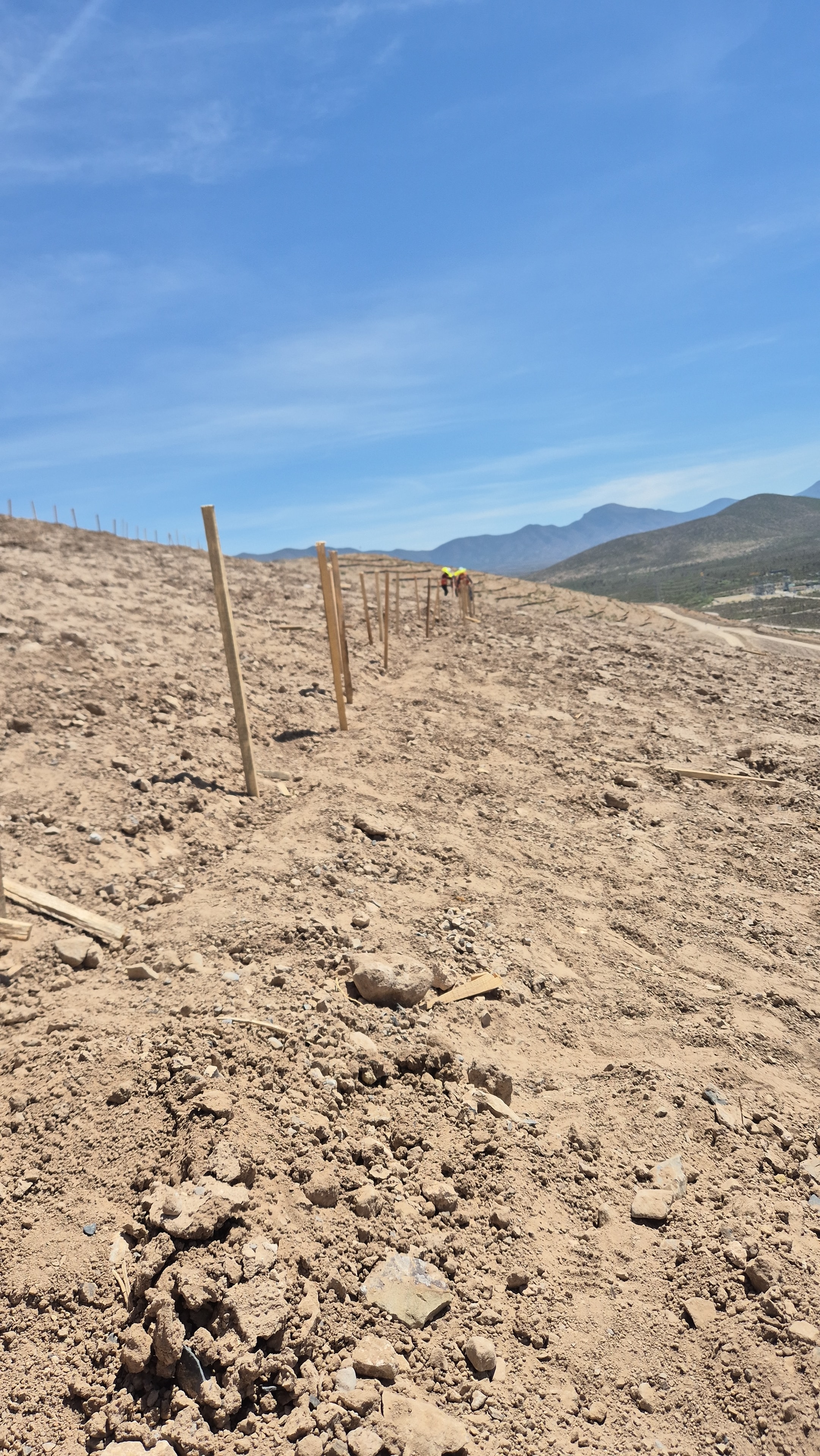 Hidrosiembra mecanizada en área perturbada