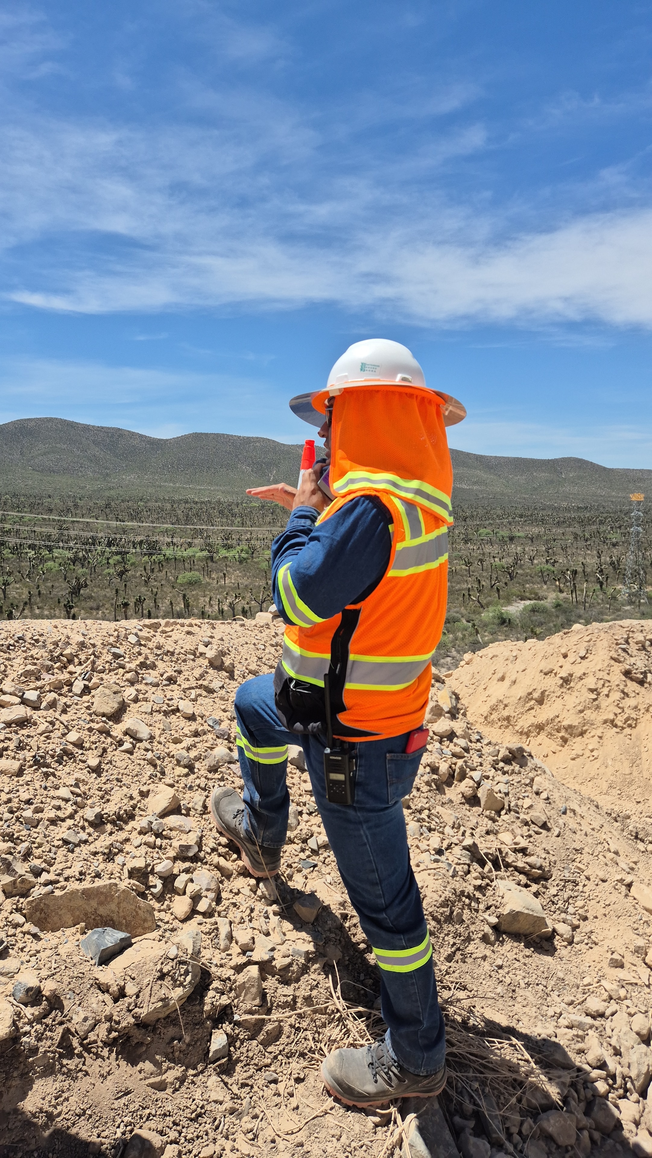 Revegetación de talud con mezcla de semillas nativas